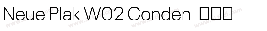 Neue Plak W02 Conden字体转换